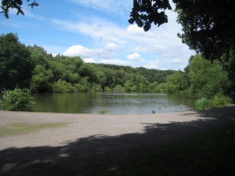 Newmillerdam Country Park Loop
