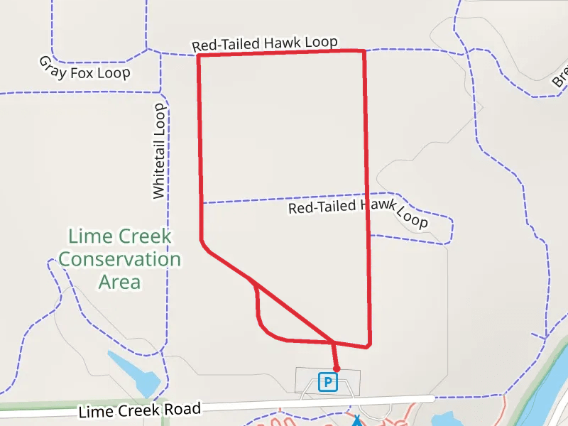 Red-Tailed Hawk Loop