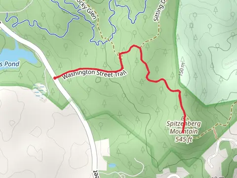Spitzenberg Mountain via Washington Street Trail