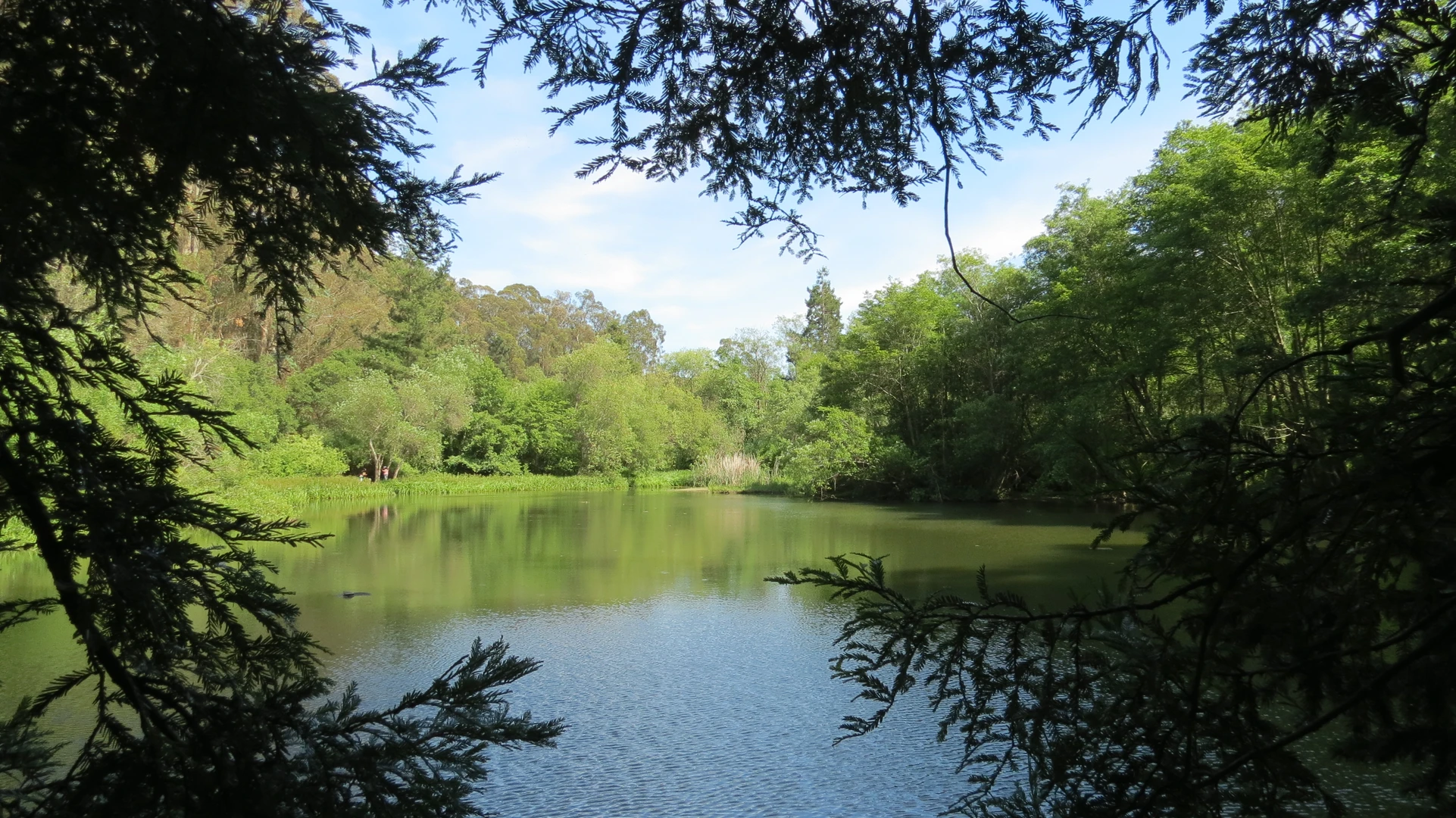 An image depicting the trail Jewel Lake and its surrounding area.