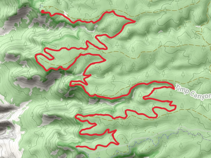 Timp Canyon