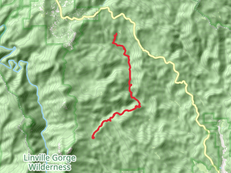 Mountains-to-Sea Trail from Rich Cove Road