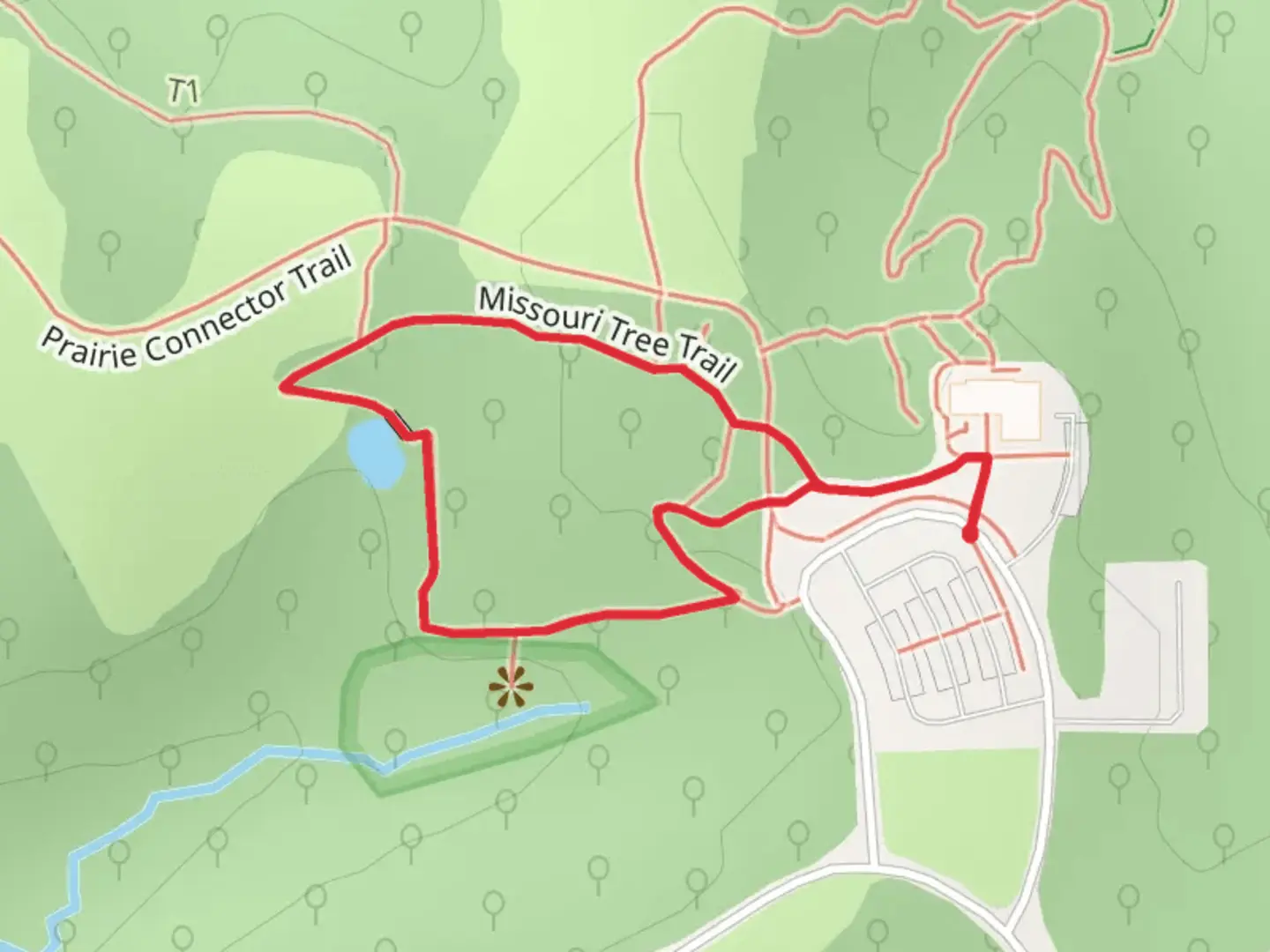 An image depicting the trail Missouri Tree Loop Trail and its surrounding area.