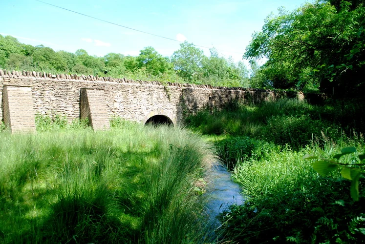 Gunning's Wood and Drifton Hill