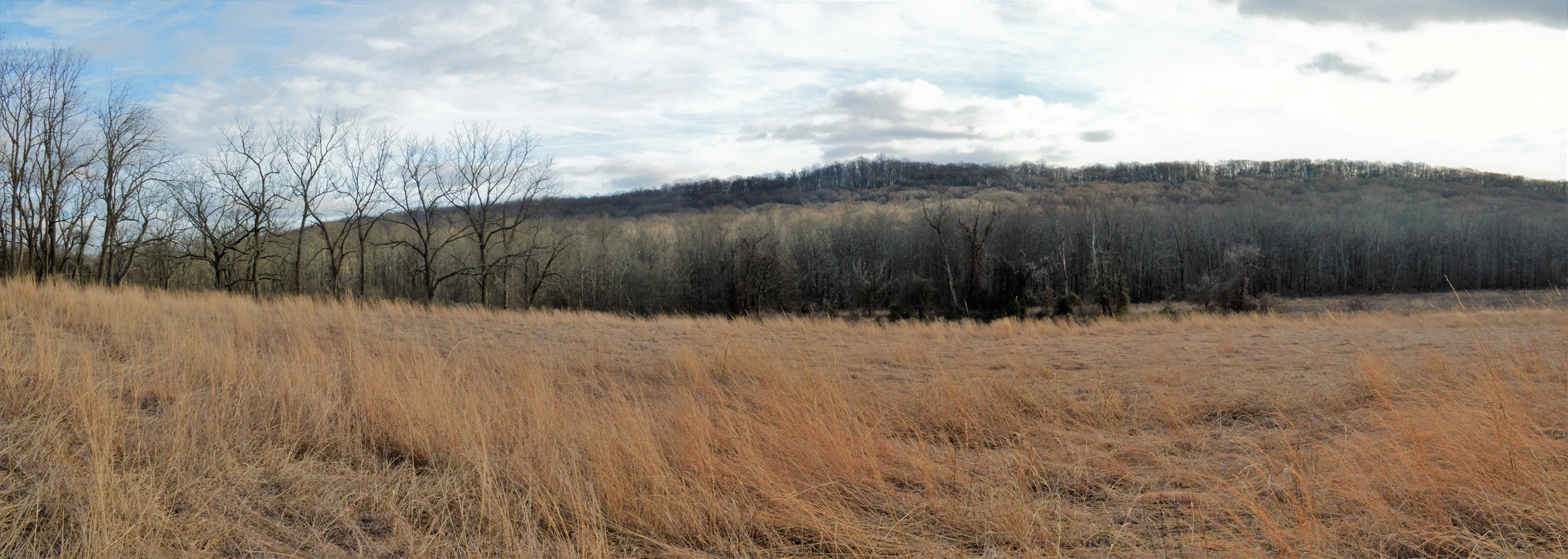 An image depicting the trail French Creek - North Loop Trail and its surrounding area.