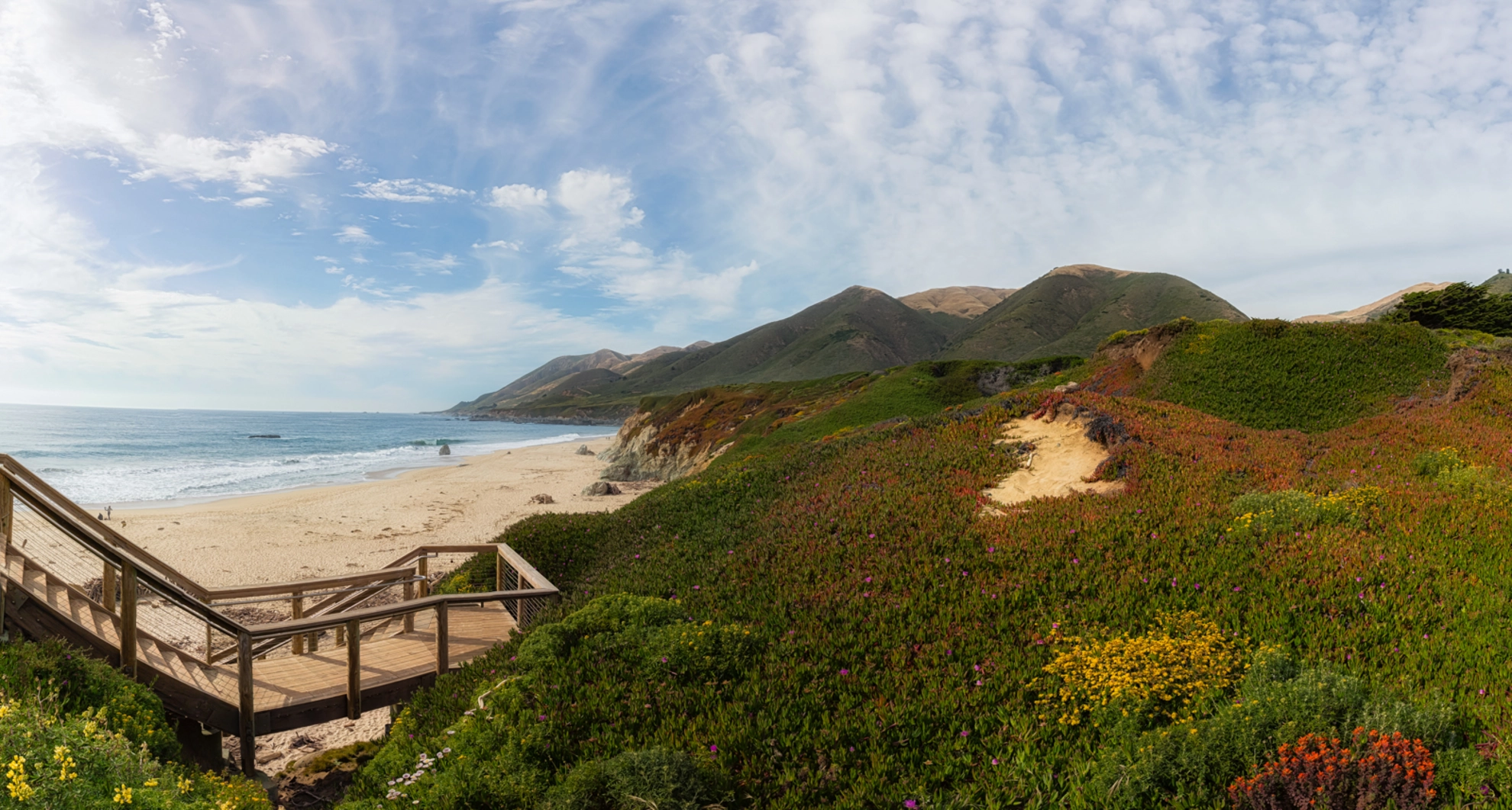 An image depicting the trail Soberanes Creek and its surrounding area.