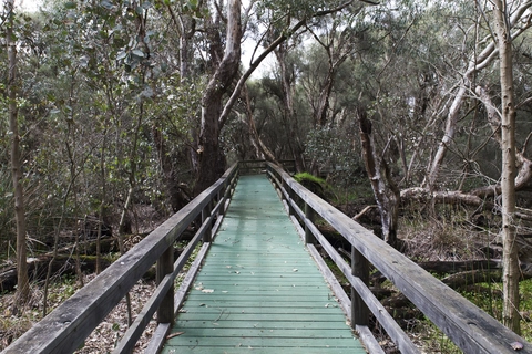 Spectacles Aboriginal Heritage Trail