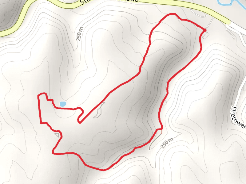 White Pine and Forester Loop