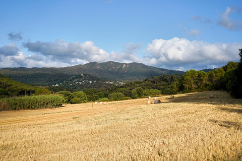 The Rock of the Valleys - Sant Bertomeu SL C 137