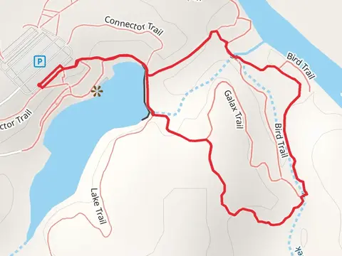 Cliffs of the Neuse State Park - Neuse River Loop