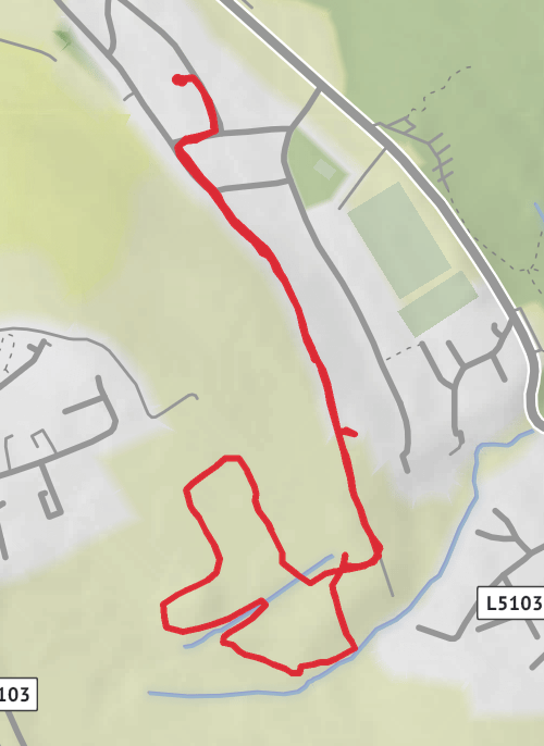 County Wicklow Running mobile static map