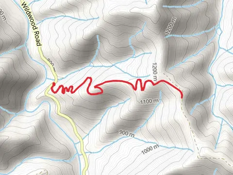 East Fork Divide Trail