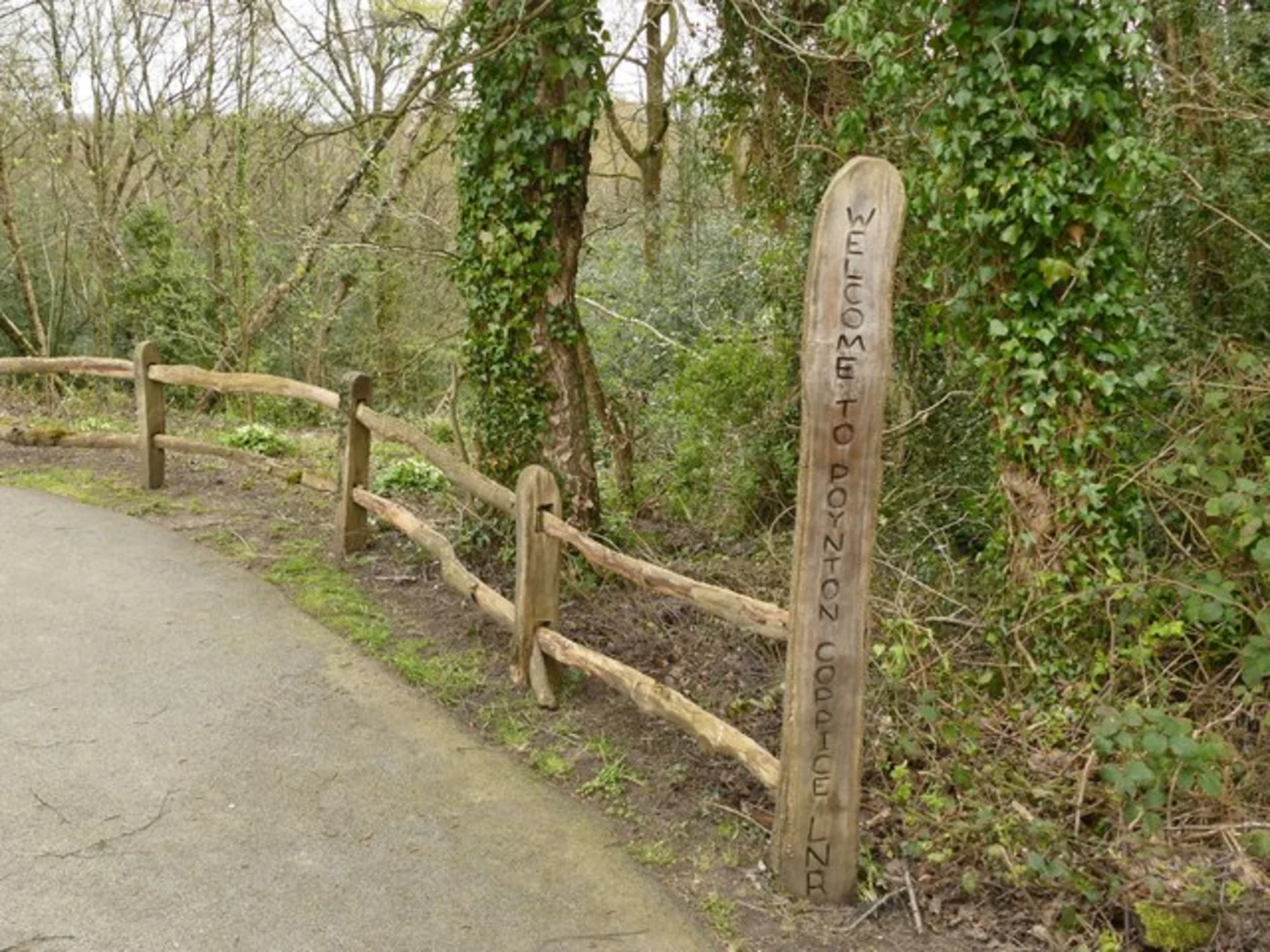 An image depicting the trail Wood Lanes and Mitchell Fold Circular Walk and its surrounding area.