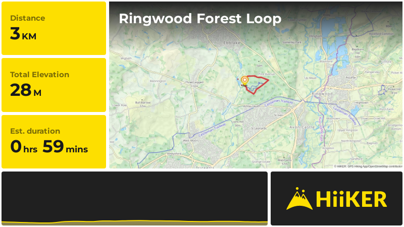 Ringwood Forest Loop | Dorset | England