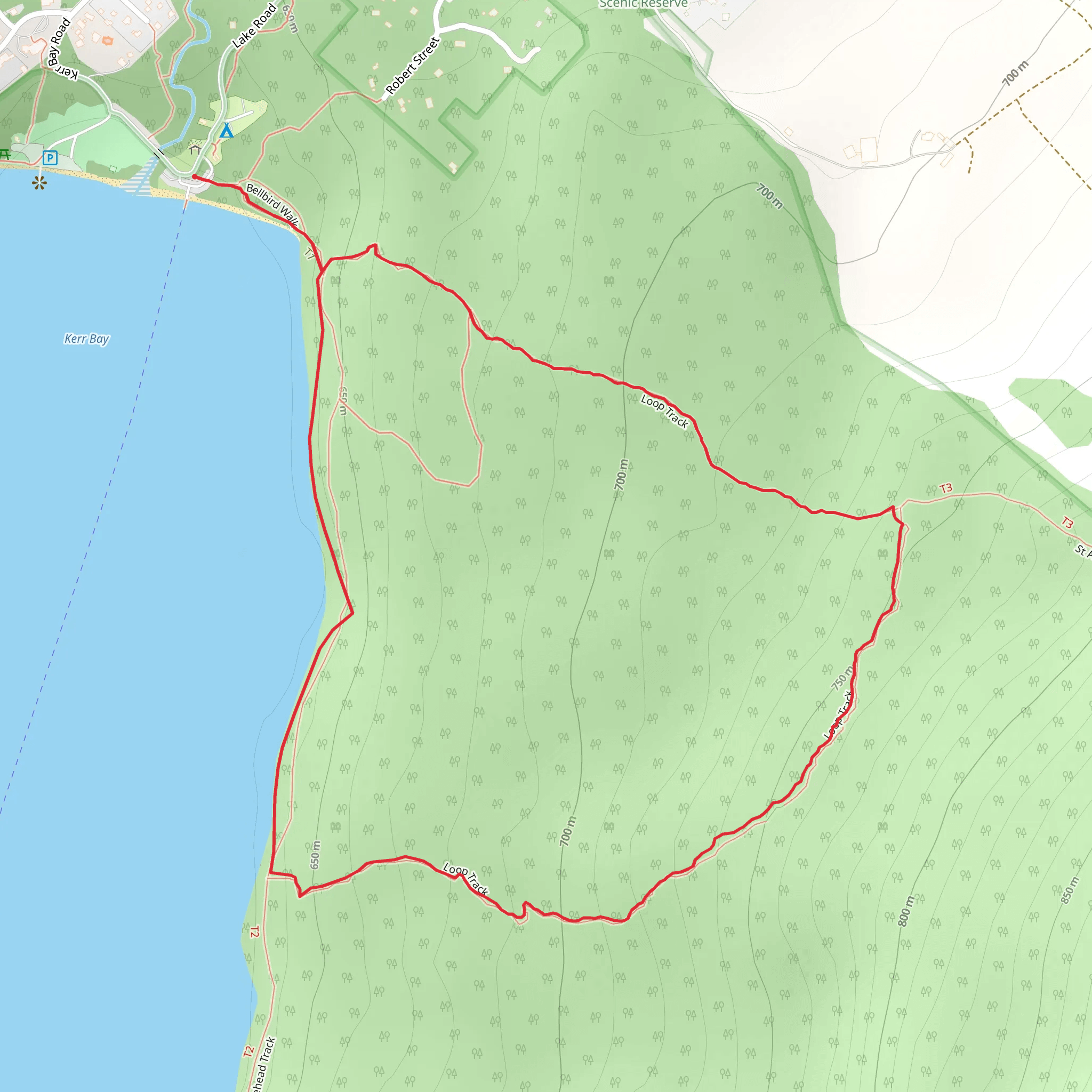 Lake Head Track and Loop Track mobile static map