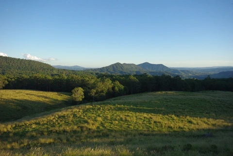 Rosewood Loop