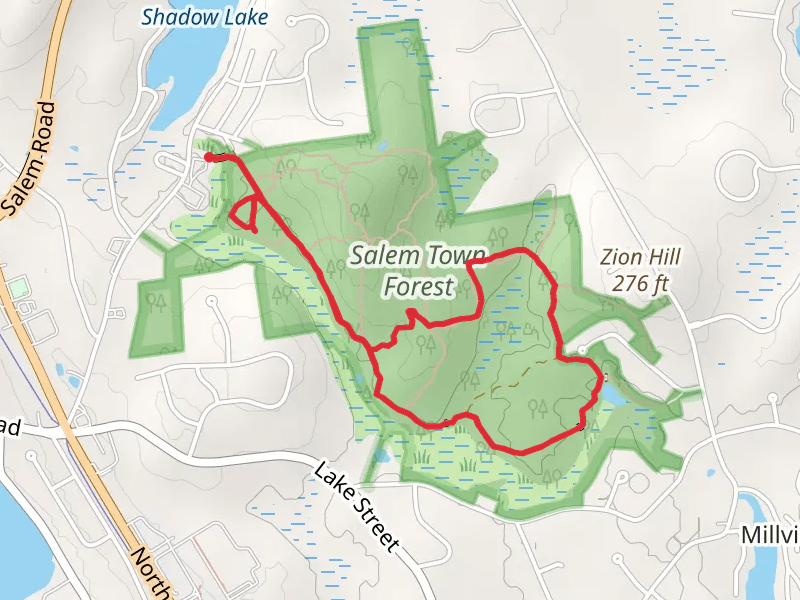 Hity Tity Brook Loop Trail
