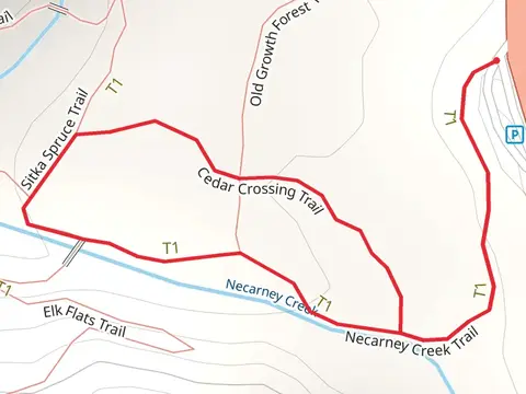 Necarney Creek Loop Trail