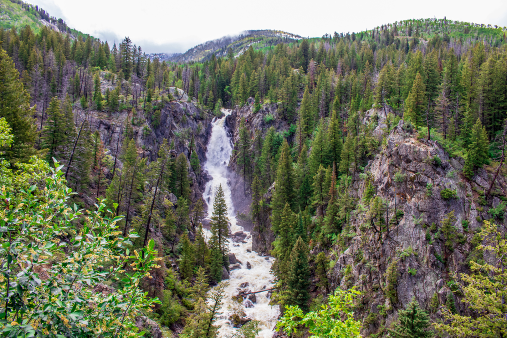 An image depicting the trail Fish Creek Trail and its surrounding area.