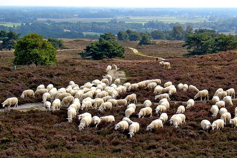 Lemelerberg via Rolstoelpad