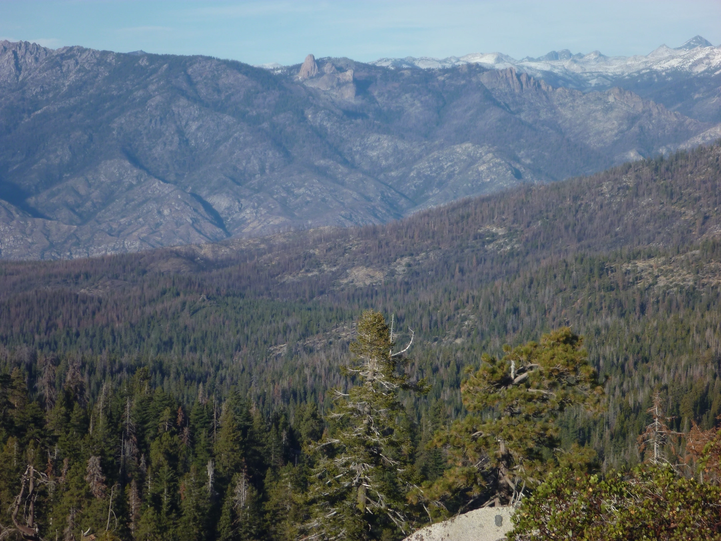 An image depicting the trail Buck Rock to Forest Route 14S02 and its surrounding area.
