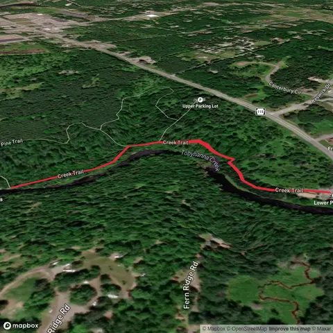 Tobyhanna Falls via Creek Trail