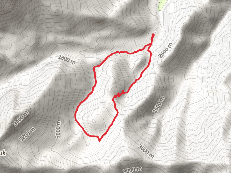 Baker Meadow Trail and Timber Creek Loop Trail