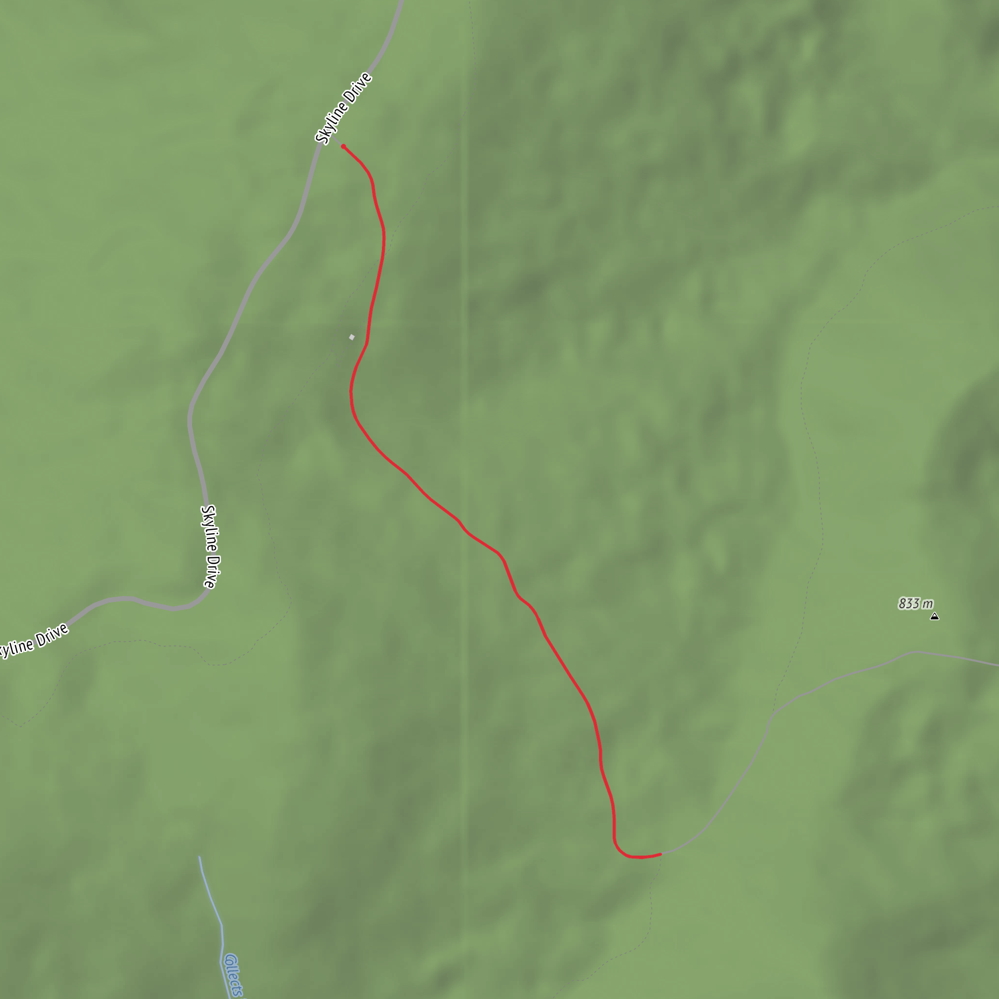 Pocosin Fire Road Hike mobile static map