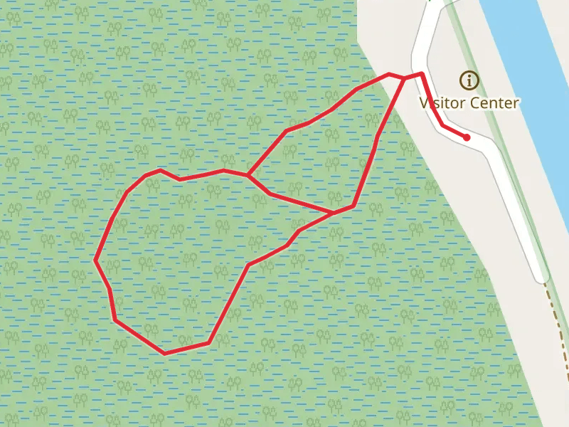 Dismal Swamp Boardwalk Loop