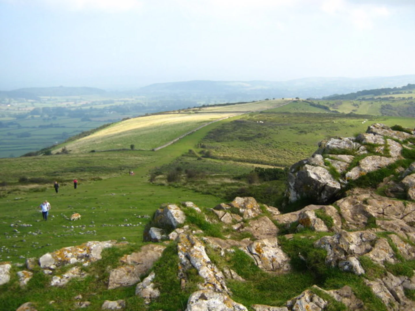 An image depicting the trail Wavering Down, Coral Cave and Crook Peak Loop and its surrounding area.