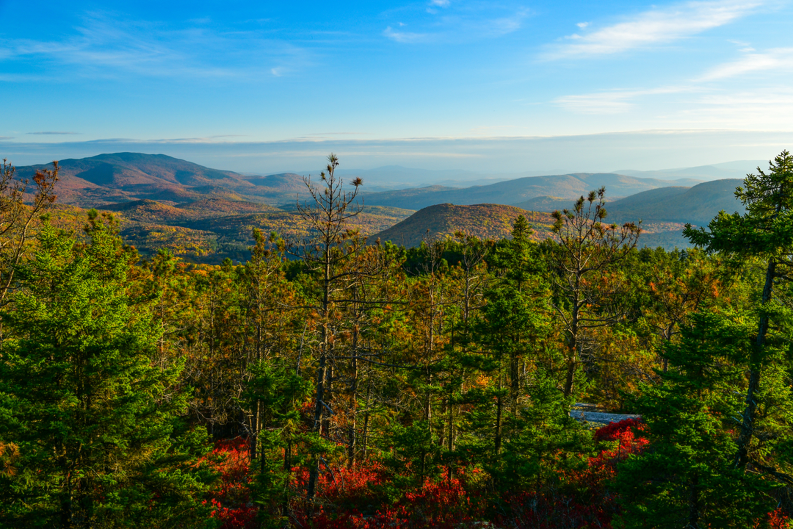 An image depicting the trail Blueberry Mountain North Trail and its surrounding area.