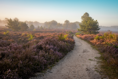 Bussum to Hilversum via Lieberger Weg