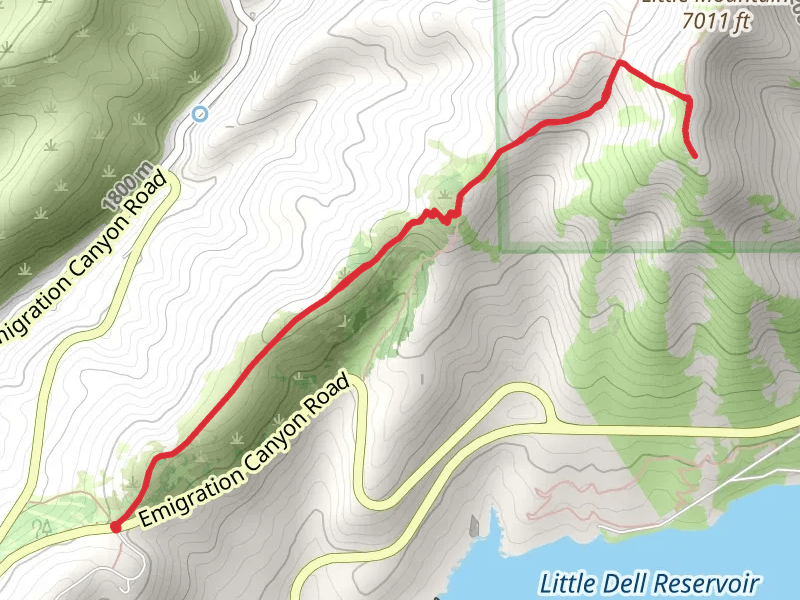 Little Mountain Trail