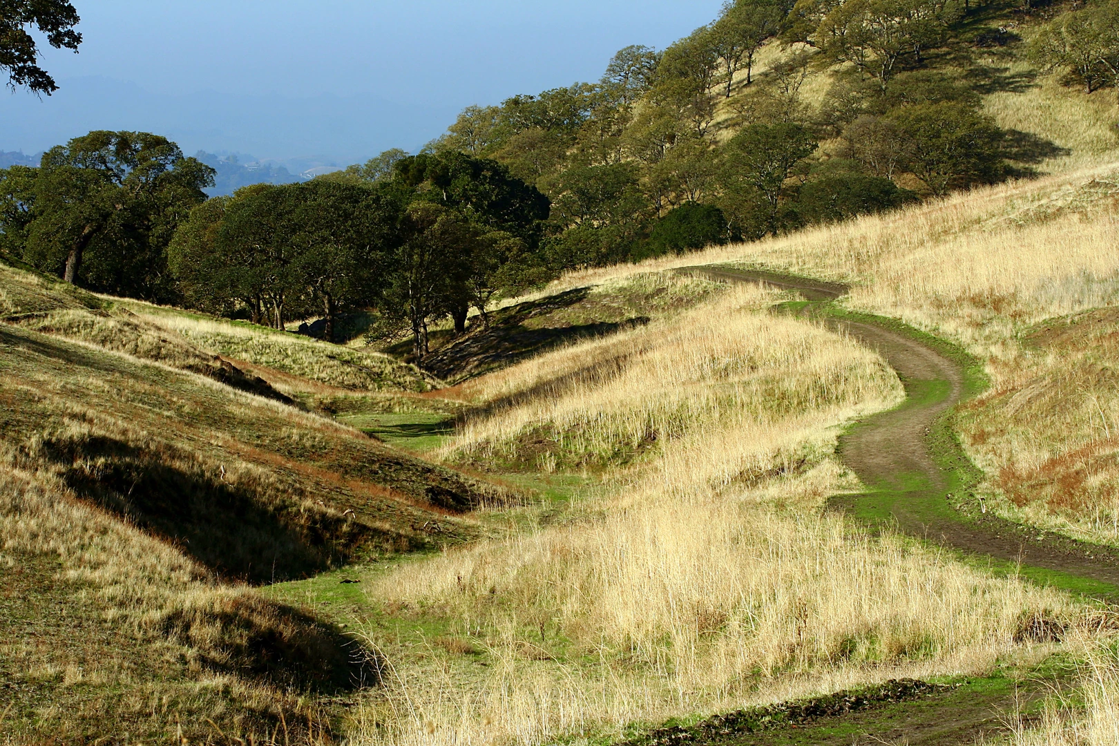 An image depicting the trail Diablo Regional Trail and Valley View Trail and its surrounding area.