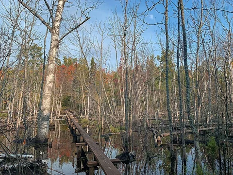 Mount Ojibway Trail
