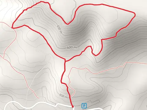 Yellow Trail Loop from Warm Springs Road