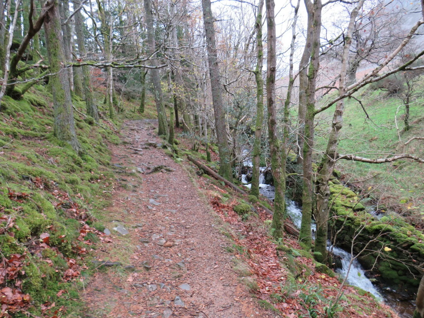 An image depicting the trail Crummock Water and Lanthwaite Wood Loop and its surrounding area.