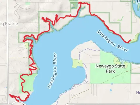 The Dragon Trail