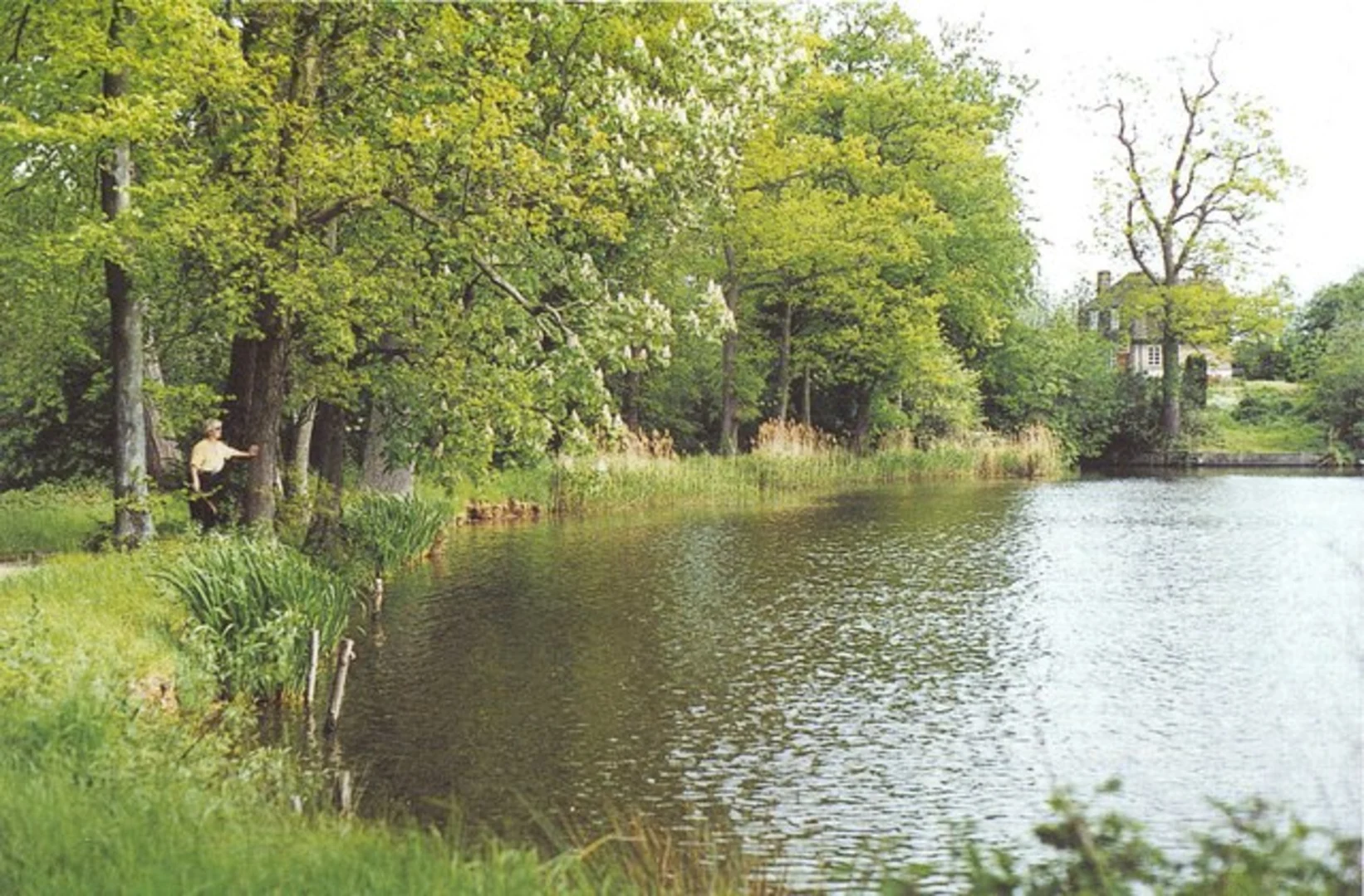 An image depicting the trail Tunbridge Wells to Cranbrook Walk and its surrounding area.