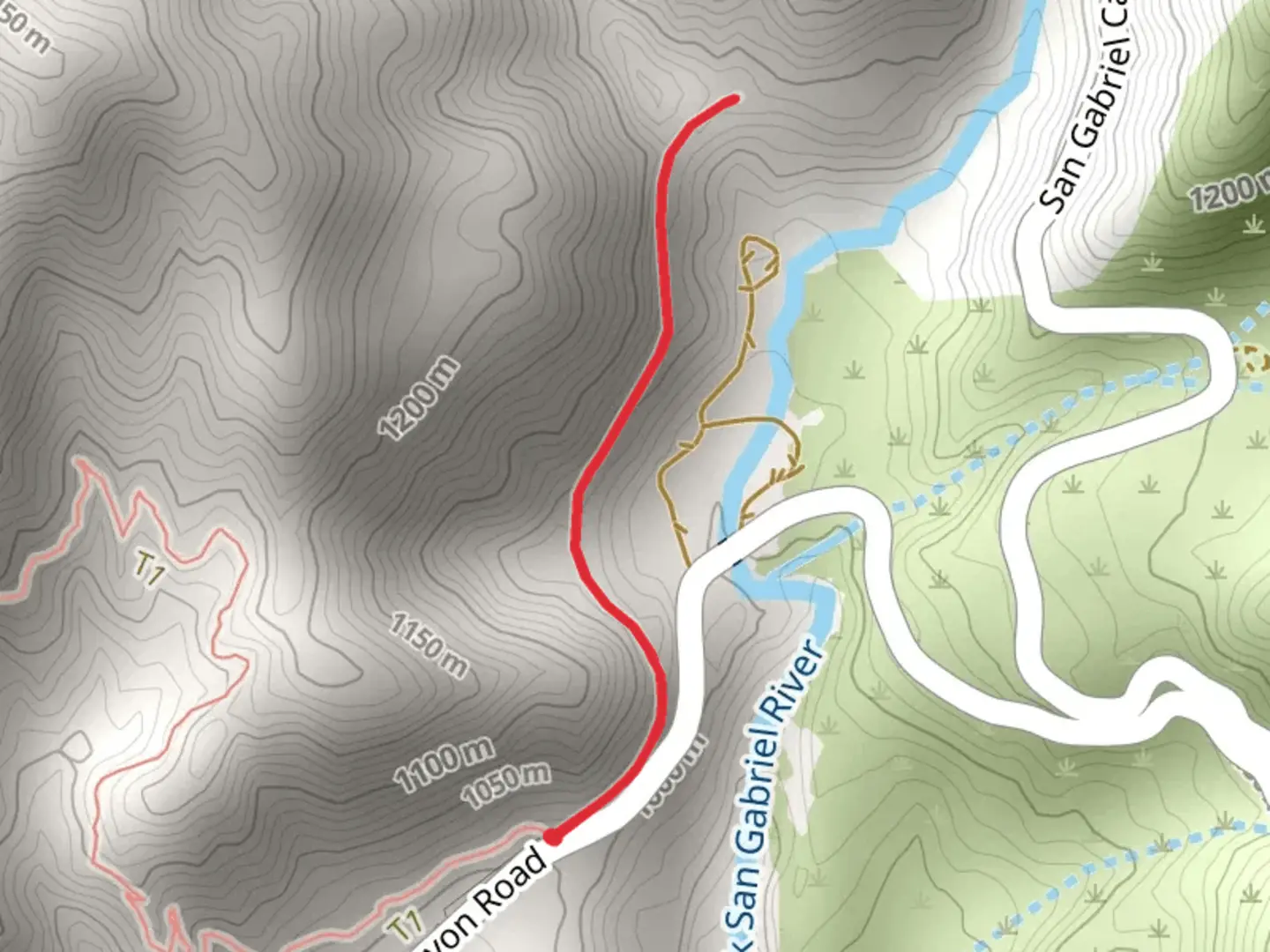 An image depicting the trail Upper creek Bear Out and Back and its surrounding area.