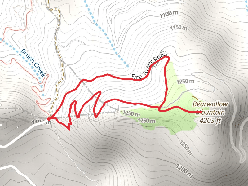 Bearwallow Mountain Trail