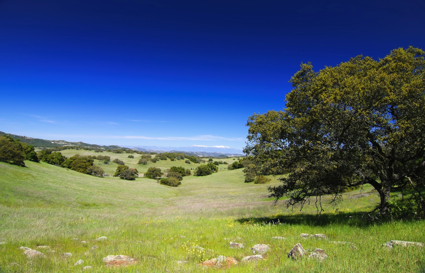 An image depicting the trail Transpreserve Trail and Adobe Loop Trail and its surrounding area.
