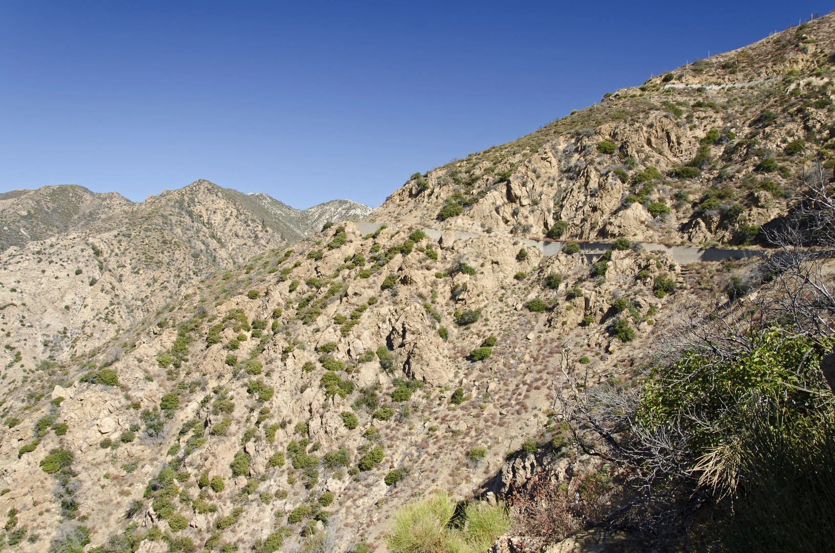 An image depicting the trail Lower Sam Merrill, Echo Mountain and Middle Sam Merrill Loop Trail and its surrounding area.