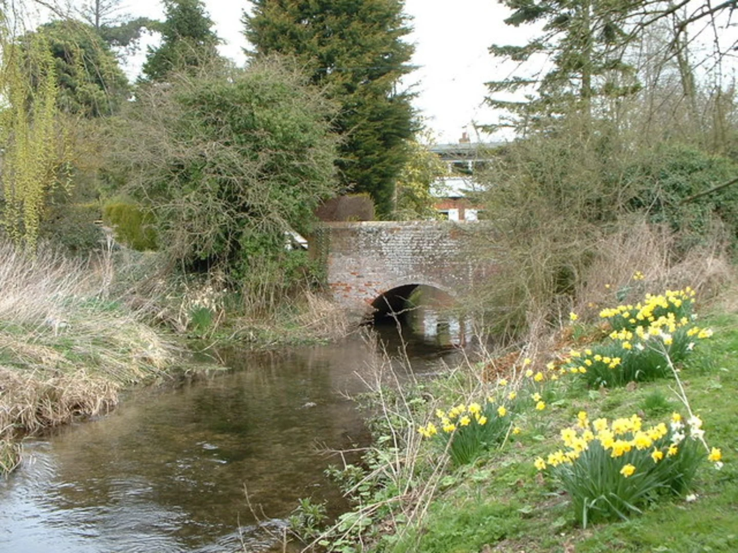 An image depicting the trail Babingley River Streamside Walk and its surrounding area.