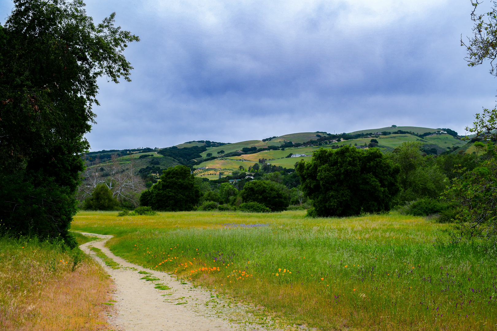 An image depicting the trail Mesa Pond, Garzas Canyon and Sky Loop Trail and its surrounding area.