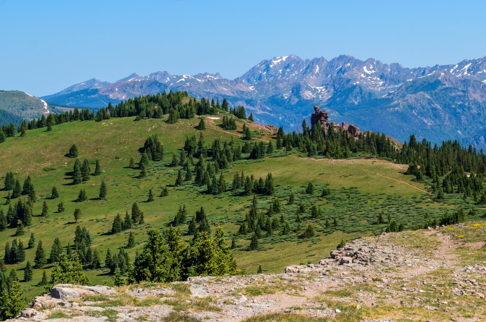 An image depicting the trail Shrine Mountain Trail and its surrounding area.