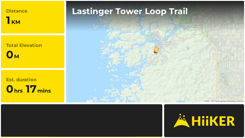 Lastinger Tower Loop Trail | Citrus County | Florida
