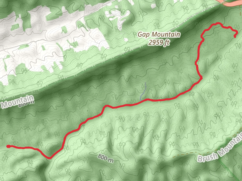Royale Trail