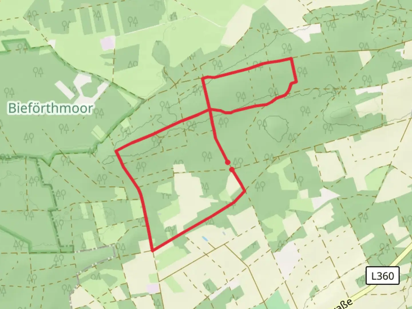An image depicting the trail Mardorf Rundwanderweg and Roswitha Weg and its surrounding area.