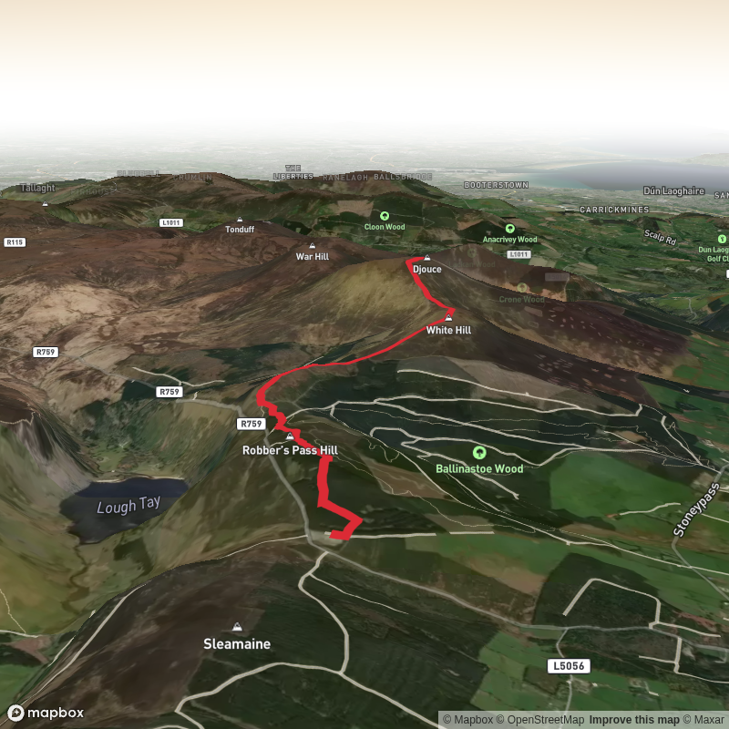 Ballinastoe Woods To Djouce Loop